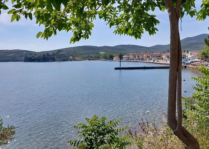 Mitzela Mare House Case de vacanță